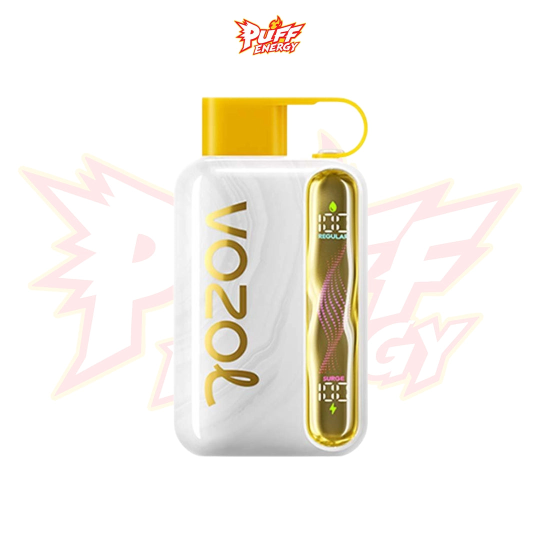 VOZOL Star 40K PUFFS | فوزول ستار 40000 نفس